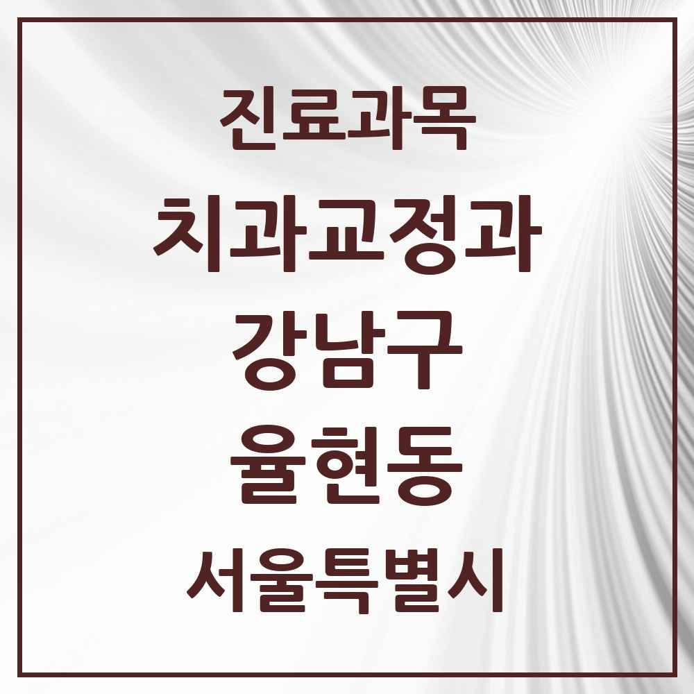 2025 서울특별시 강남구 율현동 교정치과 목록 2곳