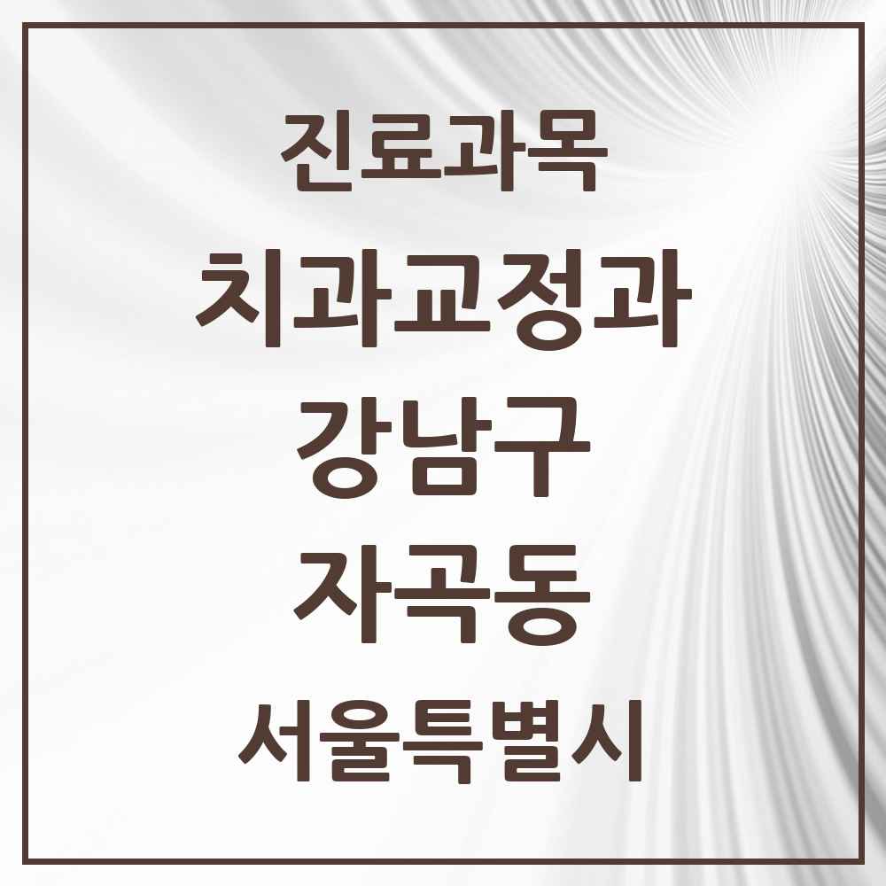 2025 서울특별시 강남구 자곡동 교정치과 목록 2곳