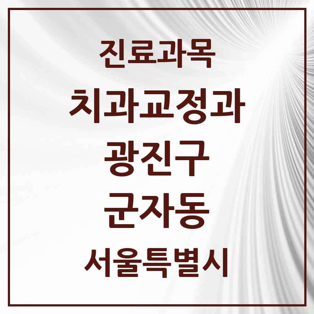 2025 서울특별시 광진구 군자동 교정치과 목록 6곳