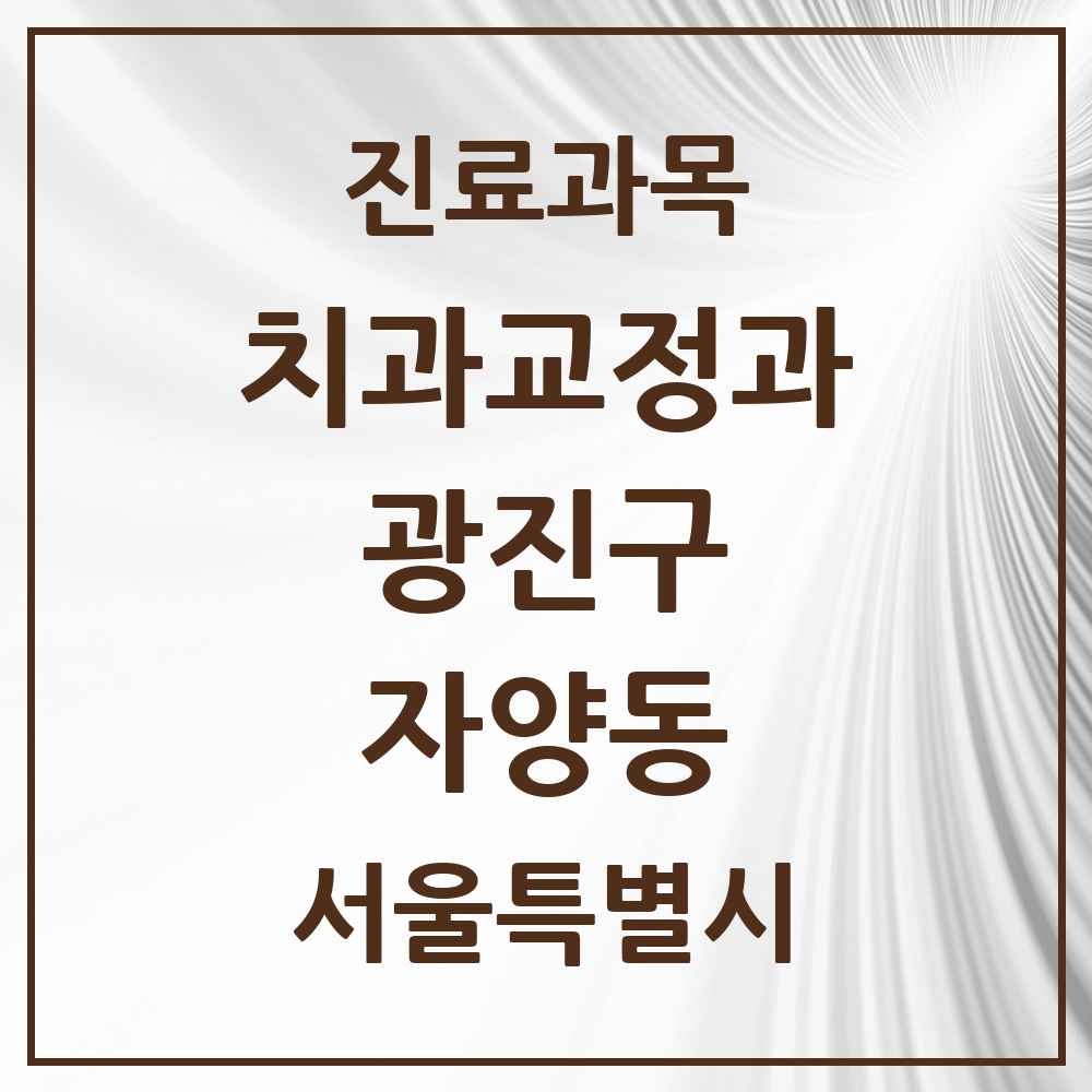 2025 서울특별시 광진구 자양동 교정치과 목록 29곳
