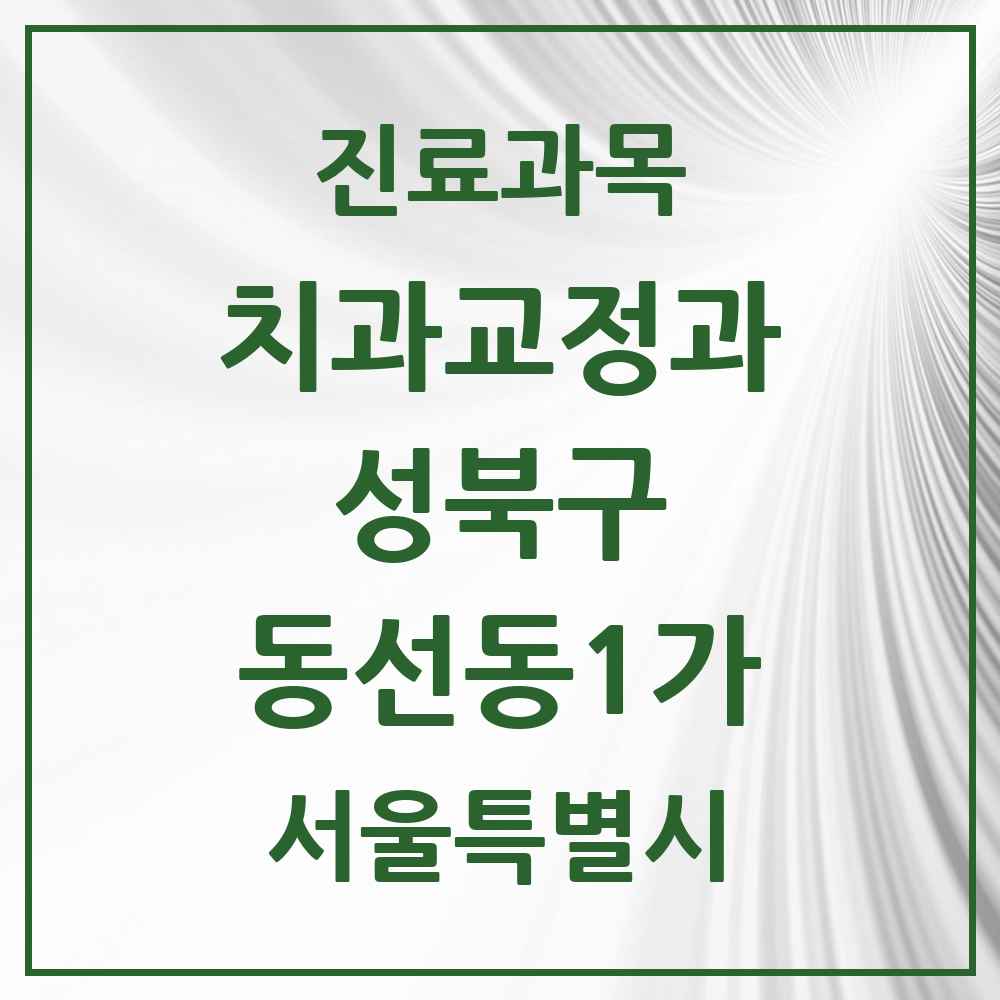 2025 서울특별시 성북구 동선동1가 교정치과 목록 6곳