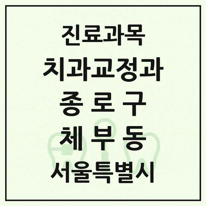 2026 서울특별시 종로구 체부동 교정치과 목록 1곳