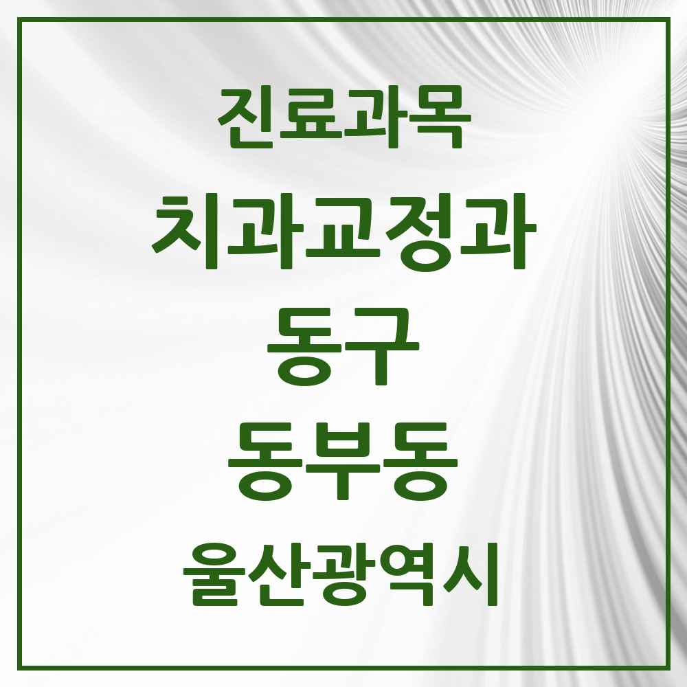 2025 울산광역시 동구 동부동 교정치과 목록 1곳
