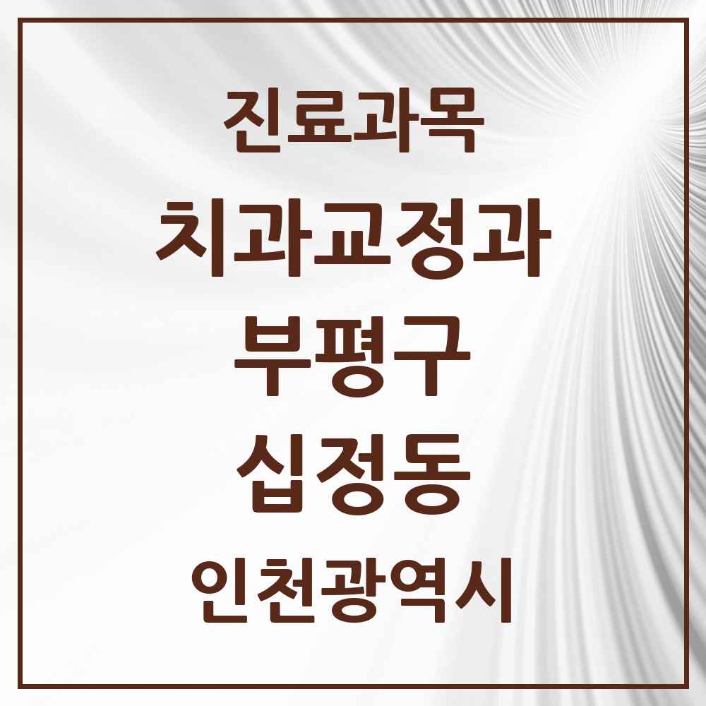 2025 인천광역시 부평구 십정동 교정치과 목록 13곳