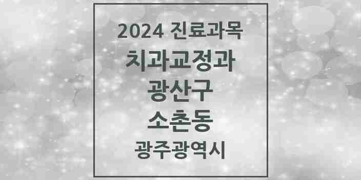 2024 소촌동 교정치과 모음 1곳 | 광주광역시 광산구 추천 리스트