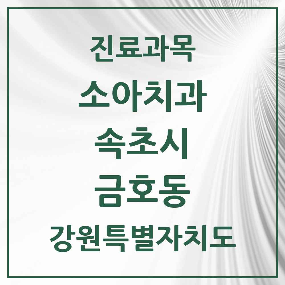 2025 강원특별자치도 속초시 금호동 소아치과 목록 3곳