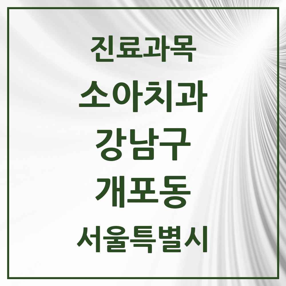 2025 서울특별시 강남구 개포동 소아치과 목록 29곳