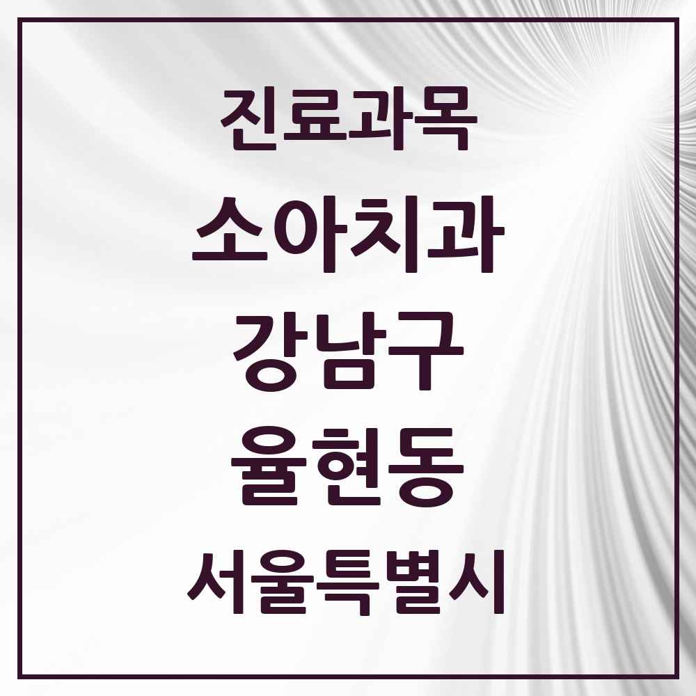 2025 서울특별시 강남구 율현동 소아치과 목록 2곳