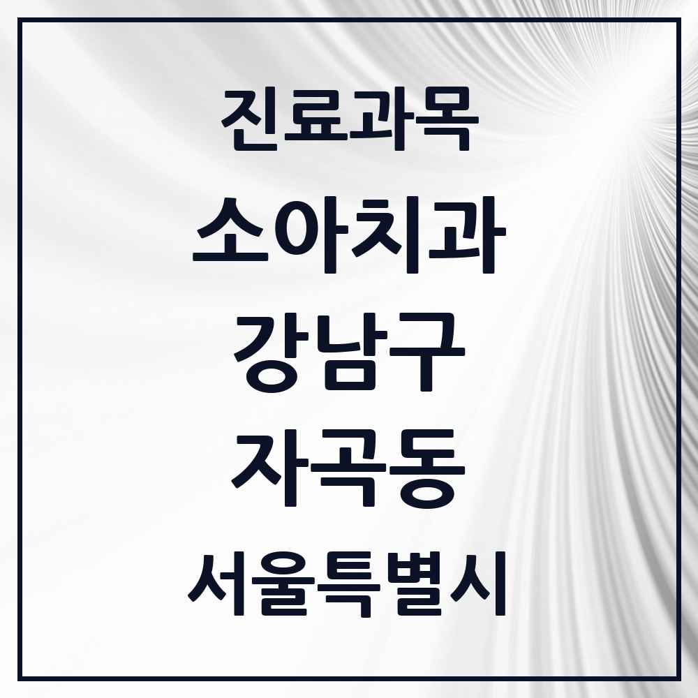 2025 서울특별시 강남구 자곡동 소아치과 목록 2곳