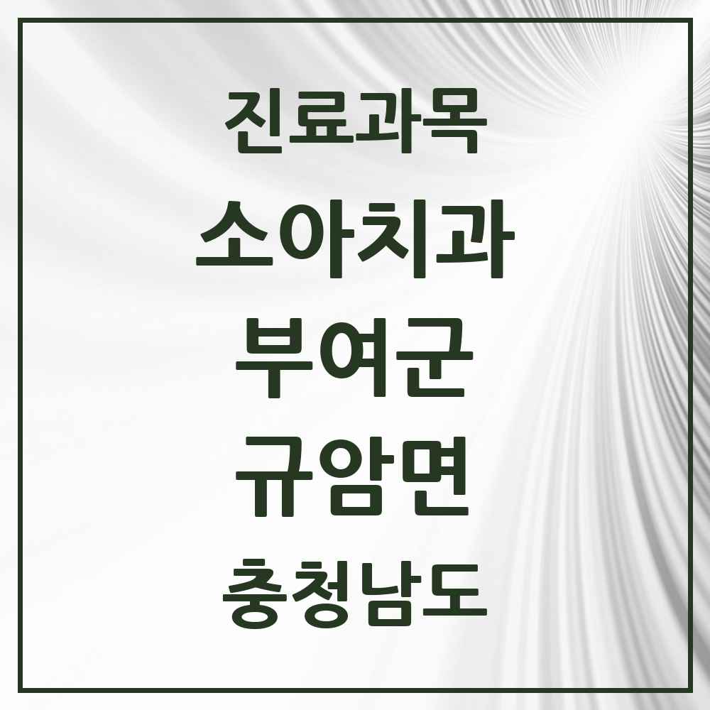 2025 충청남도 부여군 규암면 소아치과 목록 1곳