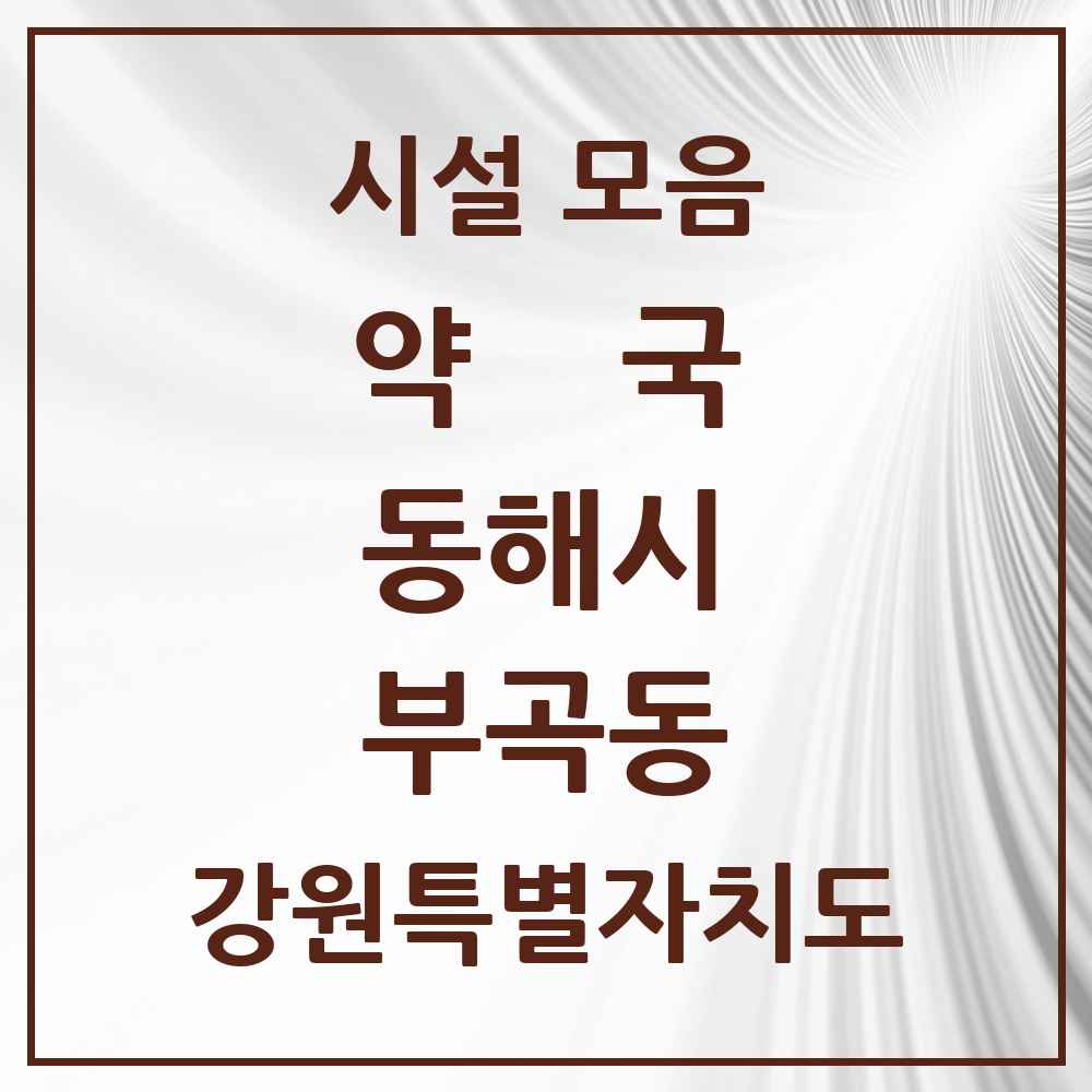 2025 강원특별자치도 동해시 부곡동 약국 목록 1곳