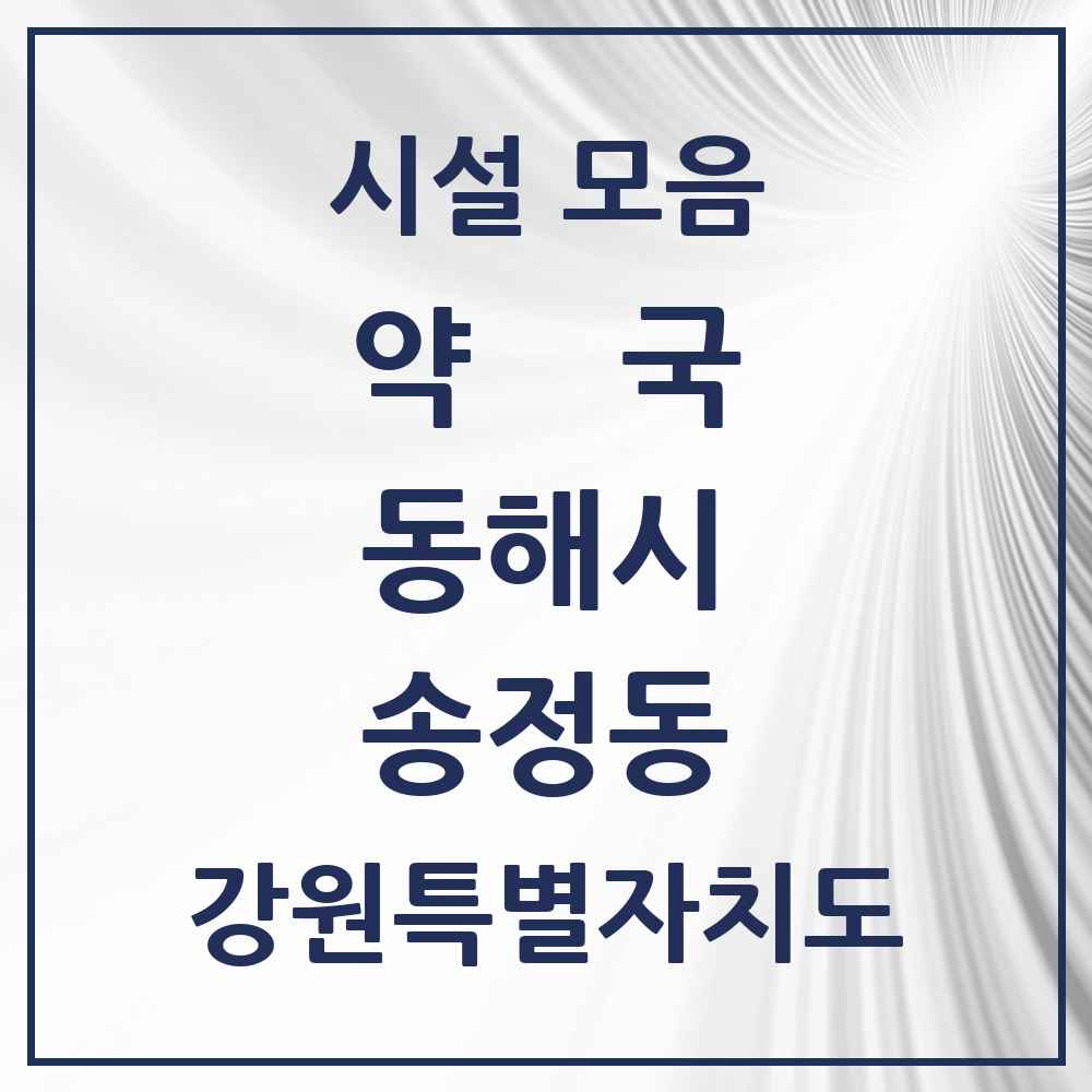 2025 강원특별자치도 동해시 송정동 약국 목록 1곳