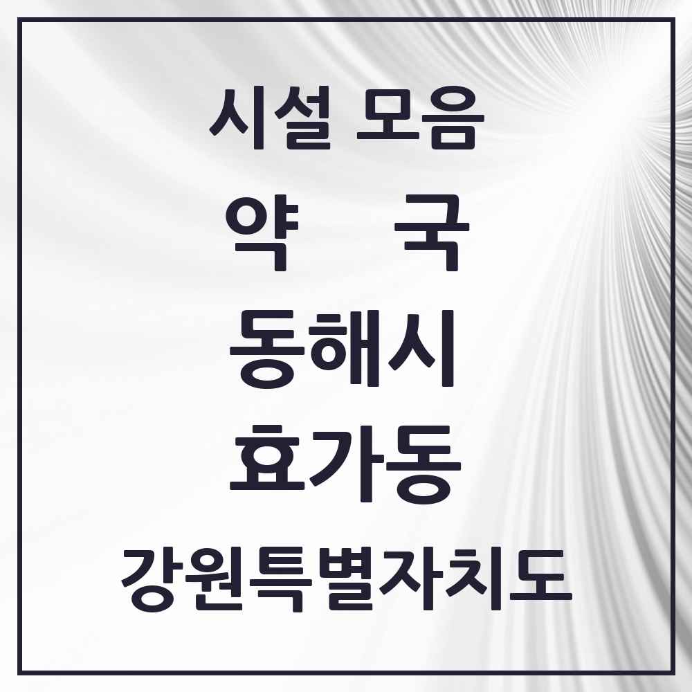 2025 강원특별자치도 동해시 효가동 약국 목록 5곳