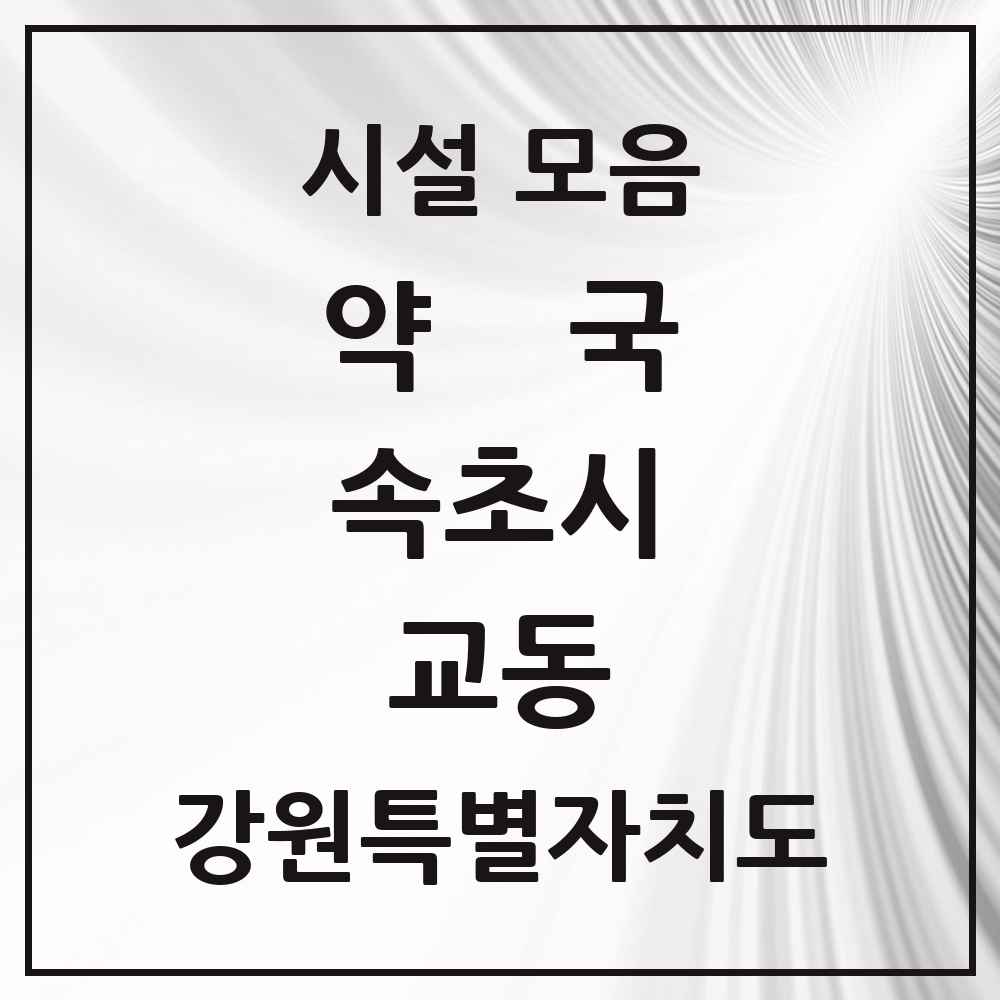 2025 강원특별자치도 속초시 교동 약국 목록 14곳