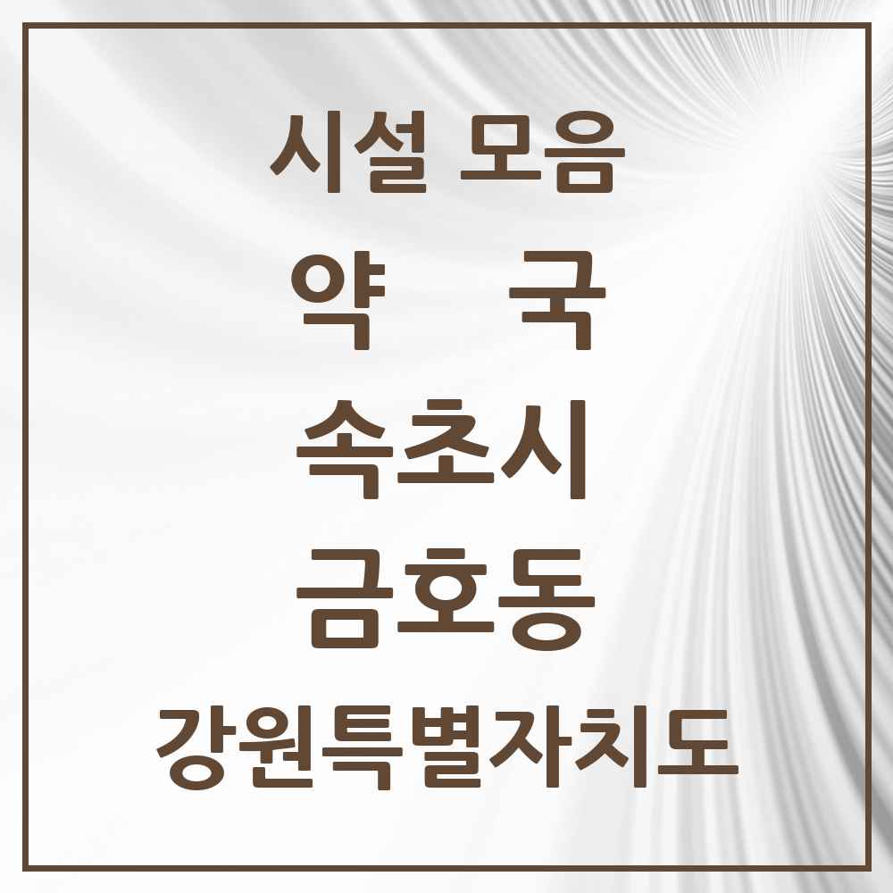 2025 강원특별자치도 속초시 금호동 약국 목록 2곳