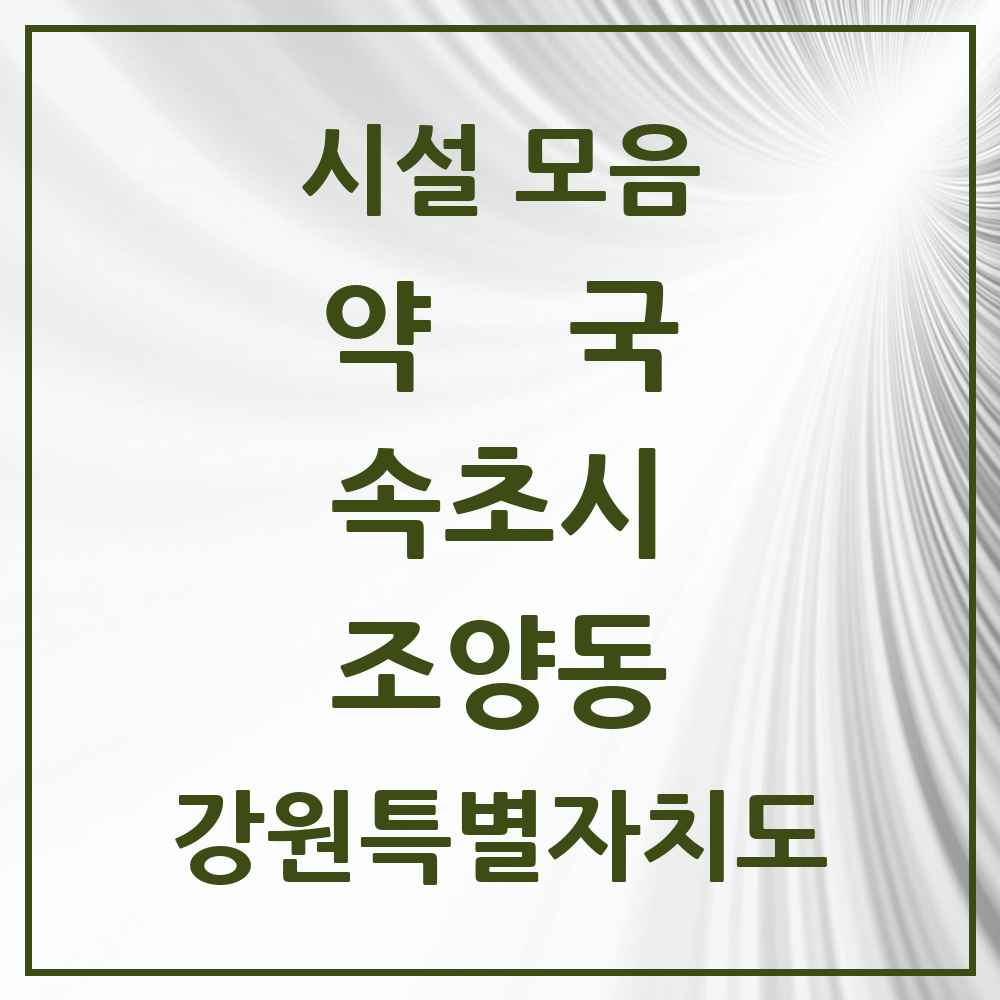2025 강원특별자치도 속초시 조양동 약국 목록 9곳
