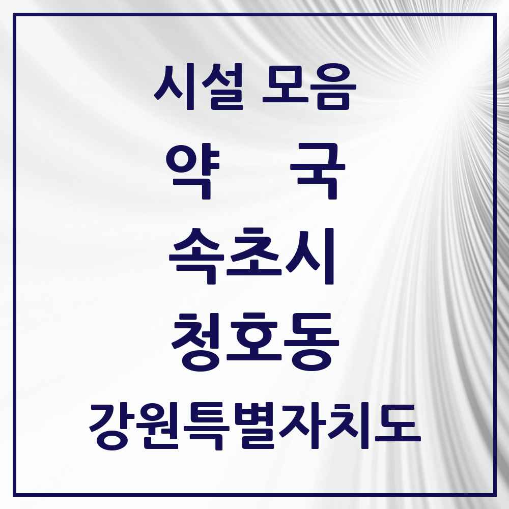 2025 강원특별자치도 속초시 청호동 약국 목록 1곳