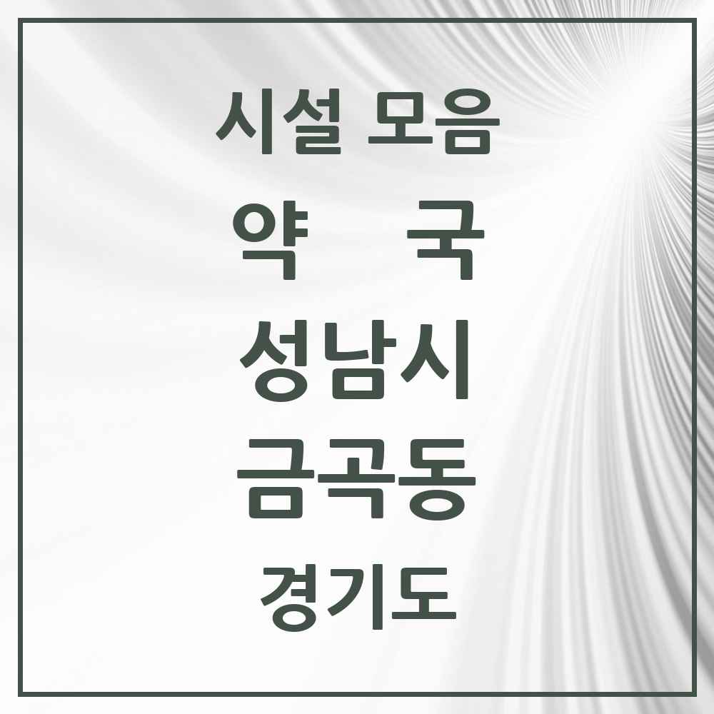 2025 경기도 성남시 금곡동 약국 목록 24곳