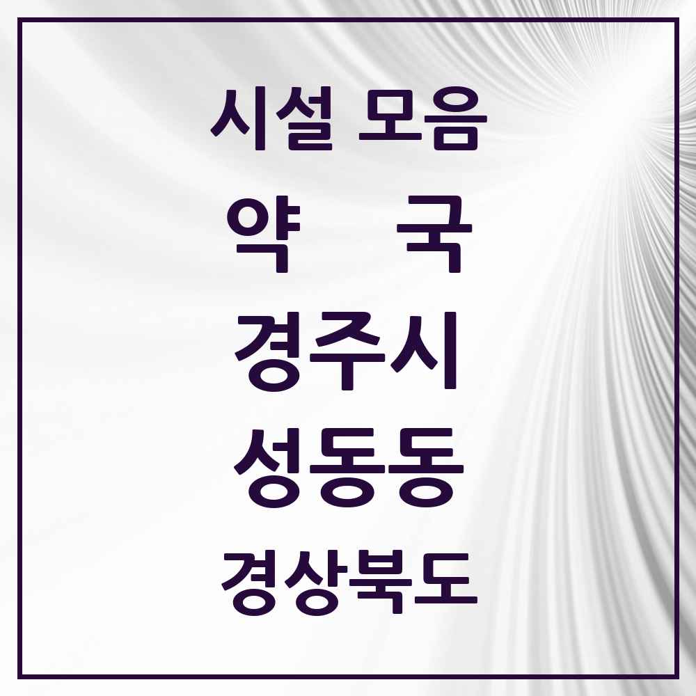 2025 경상북도 경주시 성동동 약국 목록 16곳