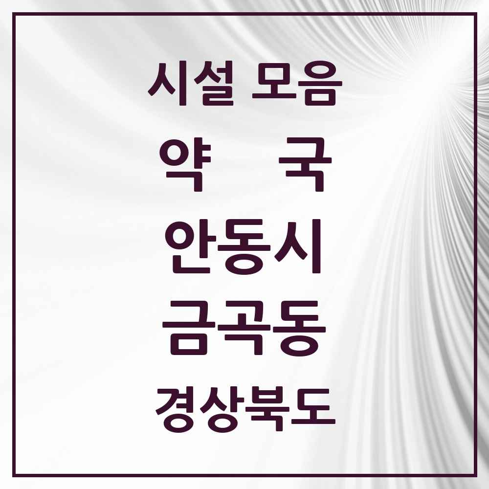 2025 경상북도 안동시 금곡동 약국 목록 3곳