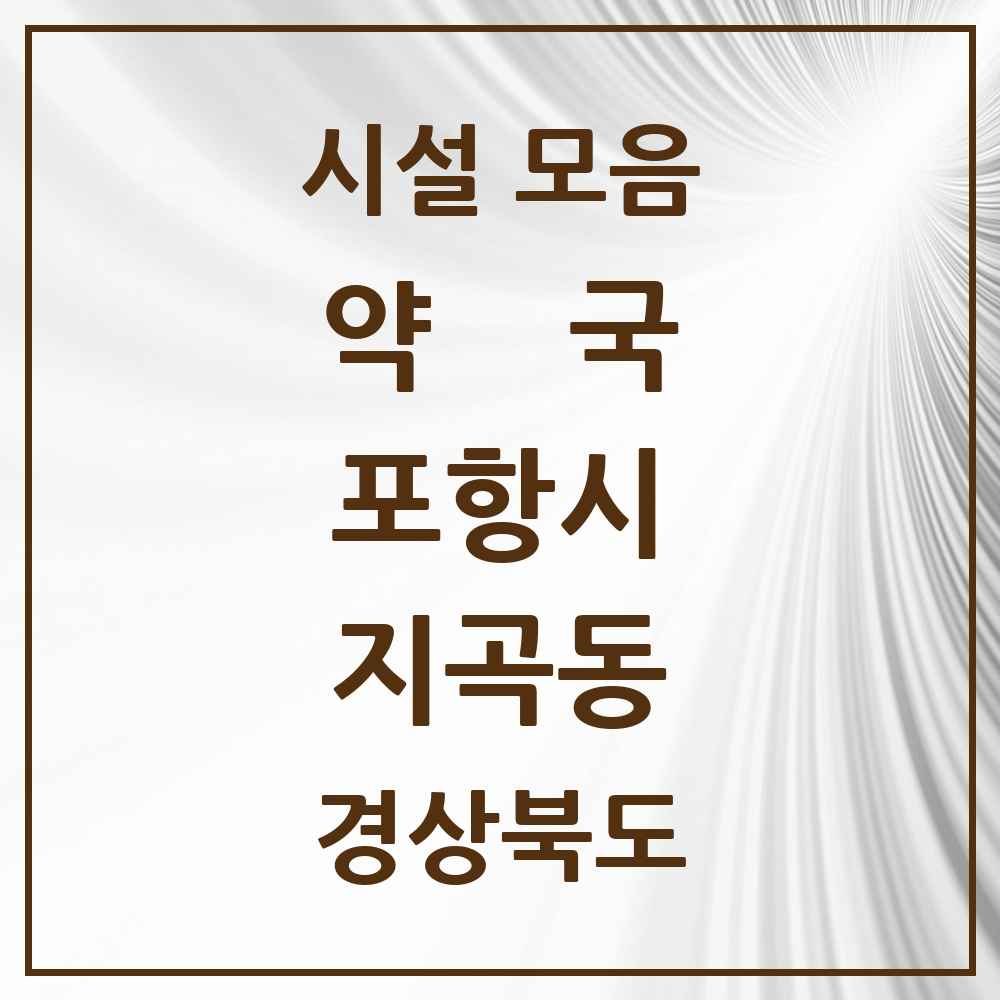 2025 경상북도 포항시 지곡동 약국 목록 3곳