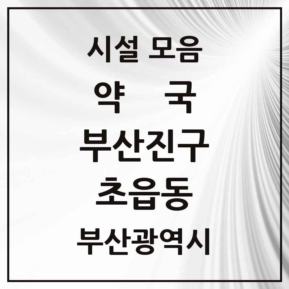 2025 부산광역시 부산진구 초읍동 약국 목록 13곳