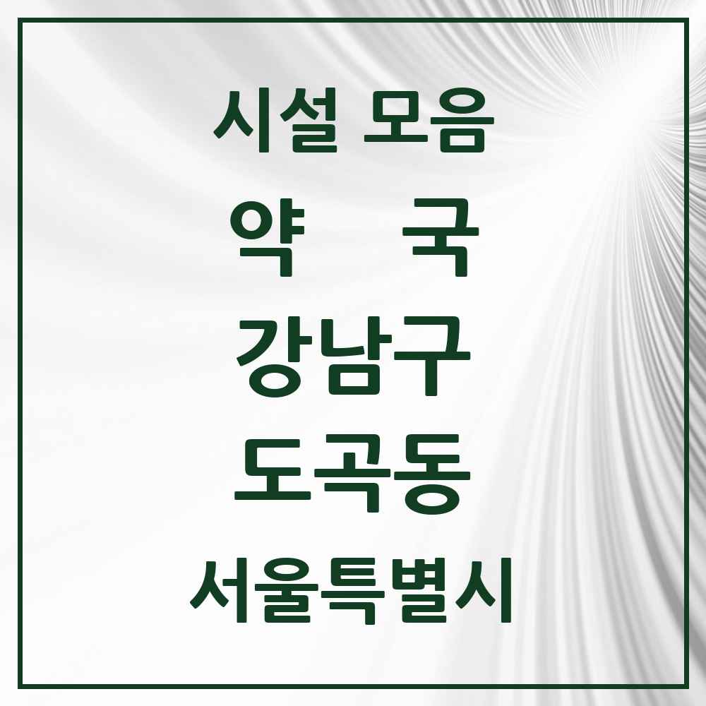 2025 서울특별시 강남구 도곡동 약국 목록 35곳