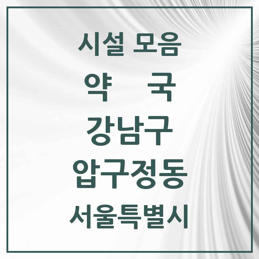 2025 서울특별시 강남구 압구정동 약국 목록 6곳