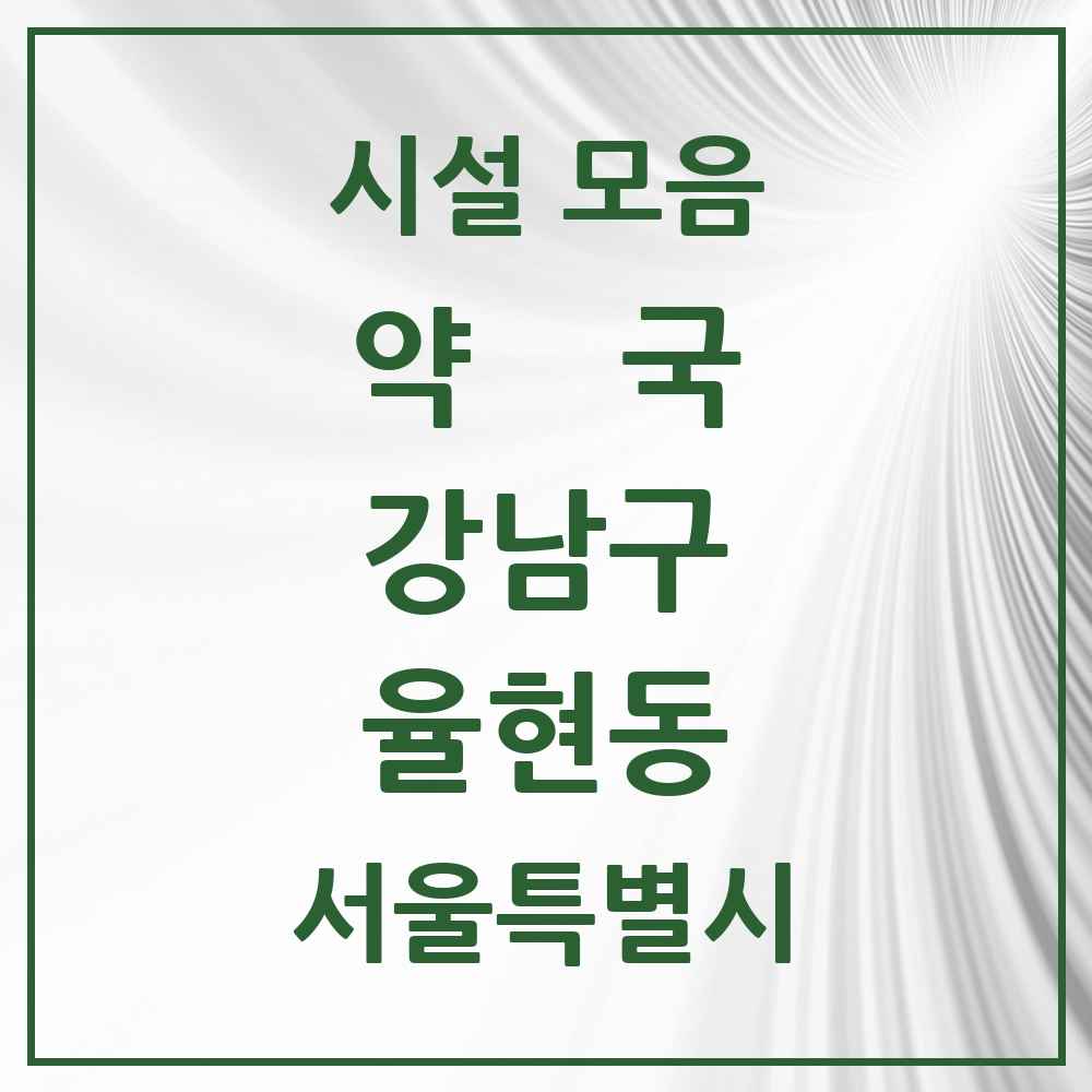 2025 서울특별시 강남구 율현동 약국 목록 1곳