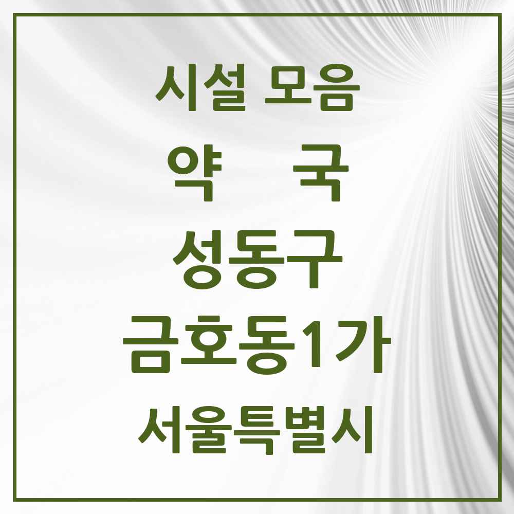 2025 서울특별시 성동구 금호동1가 약국 목록 6곳