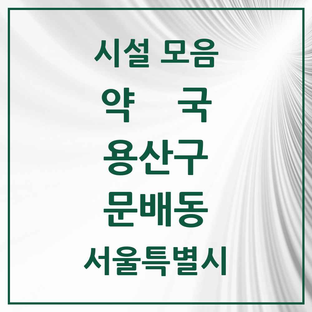 2025 서울특별시 용산구 문배동 약국 목록 1곳