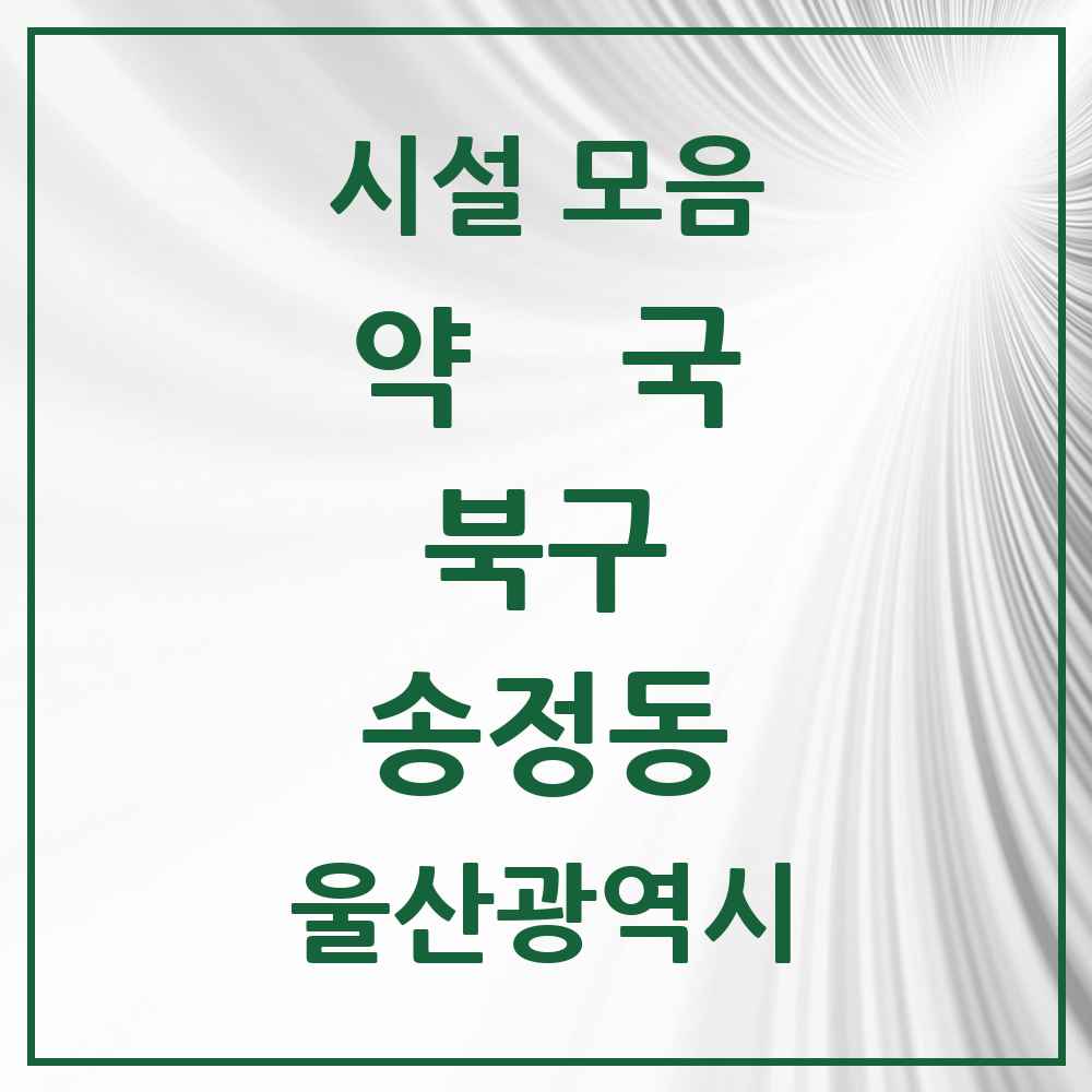 2025 울산광역시 북구 송정동 약국 목록 3곳
