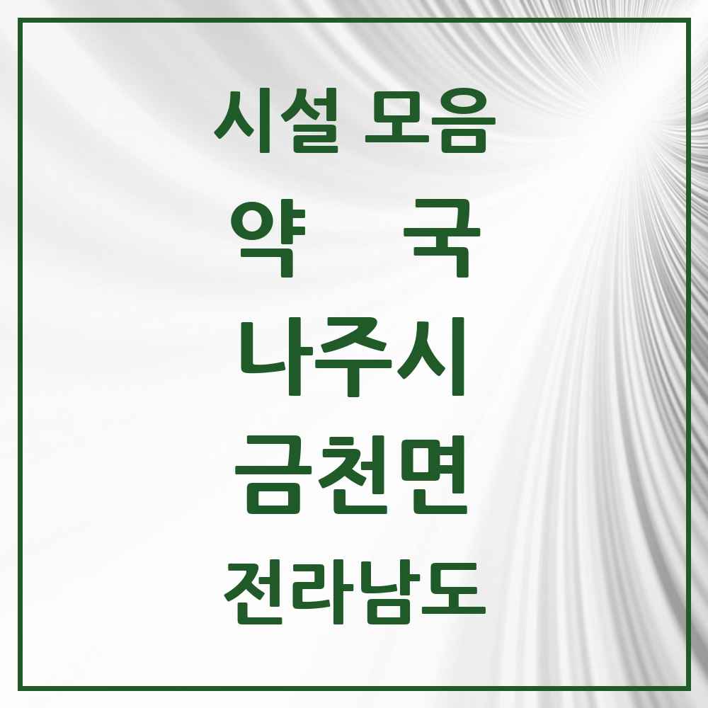 2025 전라남도 나주시 금천면 약국 목록 1곳