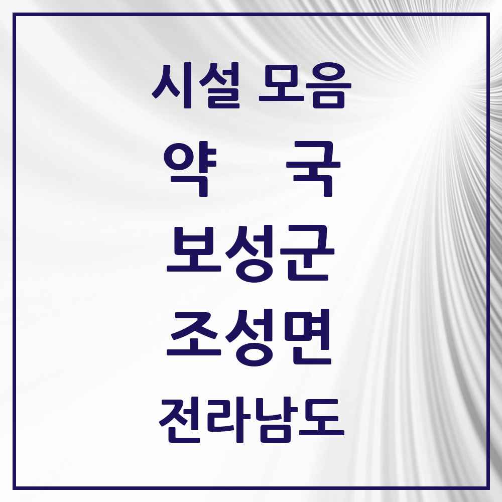 2025 전라남도 보성군 조성면 약국 목록 1곳