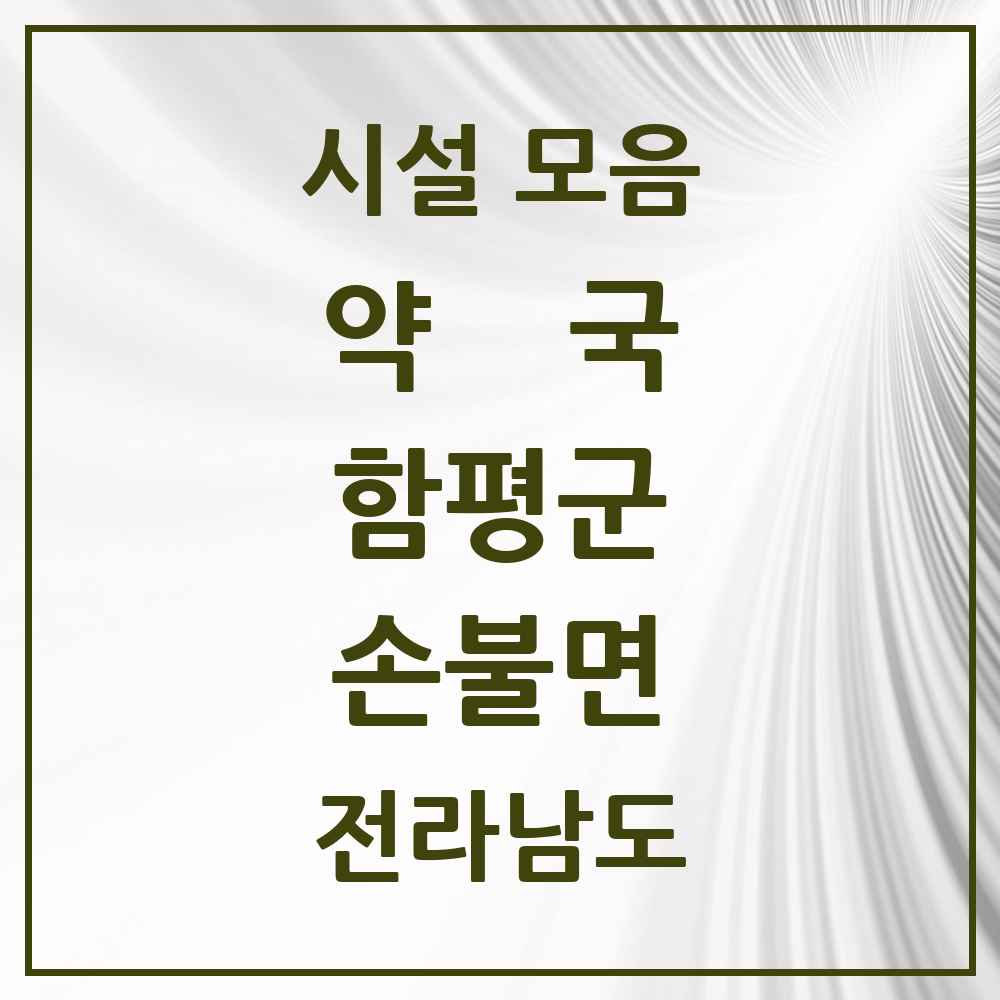 2025 전라남도 함평군 손불면 약국 목록 1곳