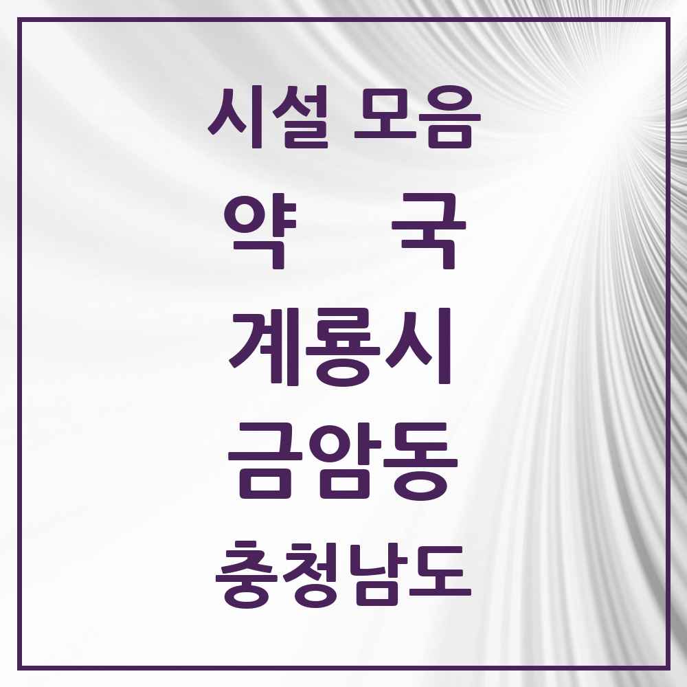2025 충청남도 계룡시 금암동 약국 목록 5곳