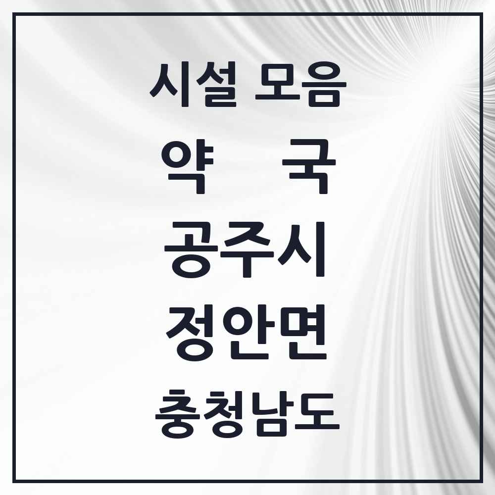 2025 충청남도 공주시 정안면 약국 목록 1곳