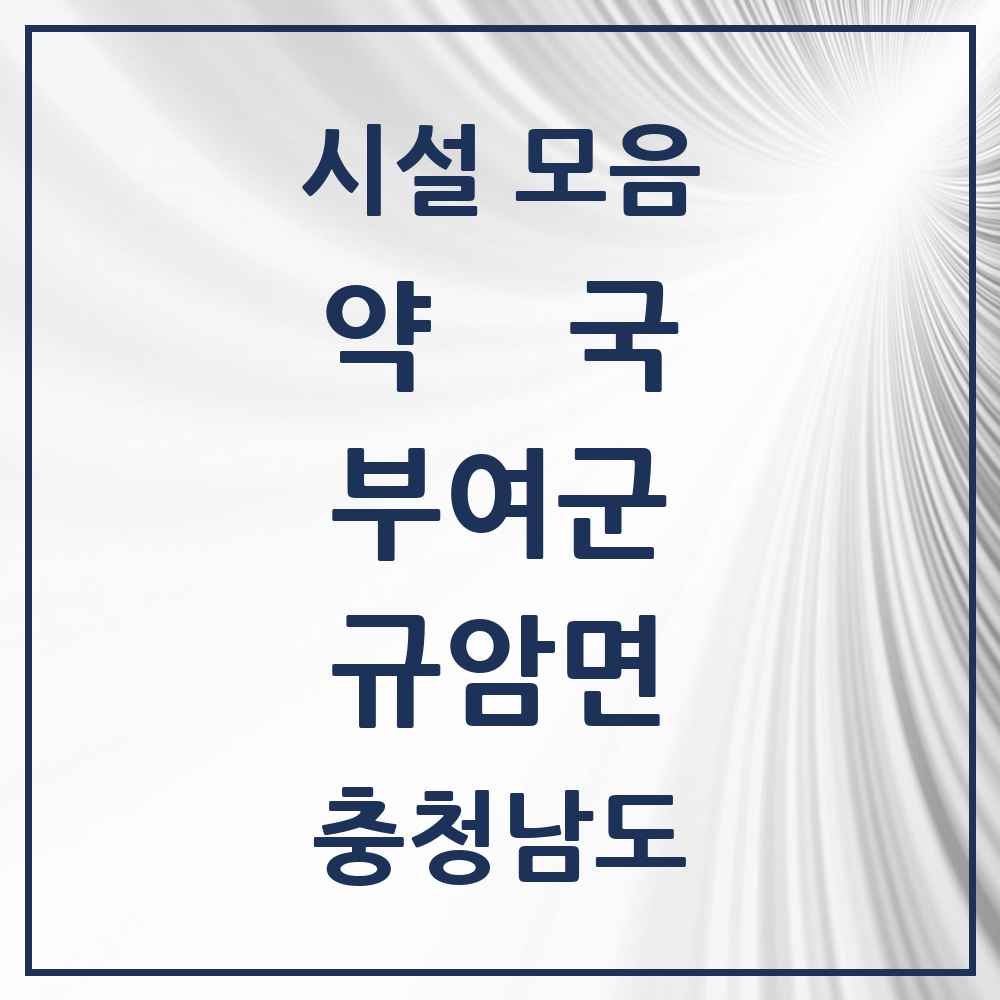 2025 충청남도 부여군 규암면 약국 목록 1곳