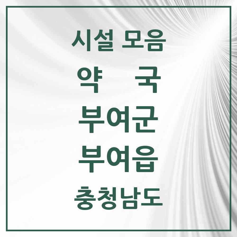 2025 충청남도 부여군 부여읍 약국 목록 23곳