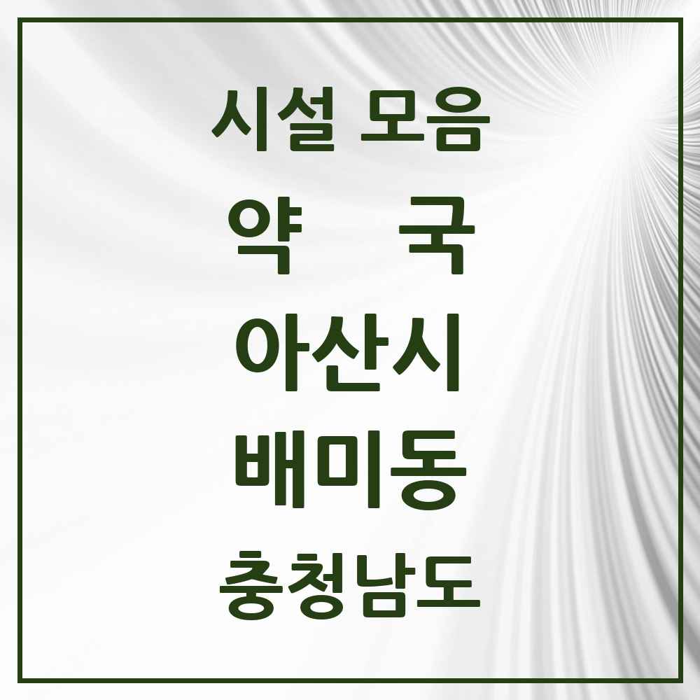 2025 충청남도 아산시 배미동 약국 목록 1곳