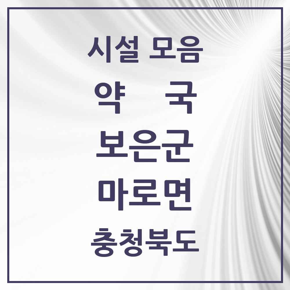 2025 충청북도 보은군 마로면 약국 목록 1곳