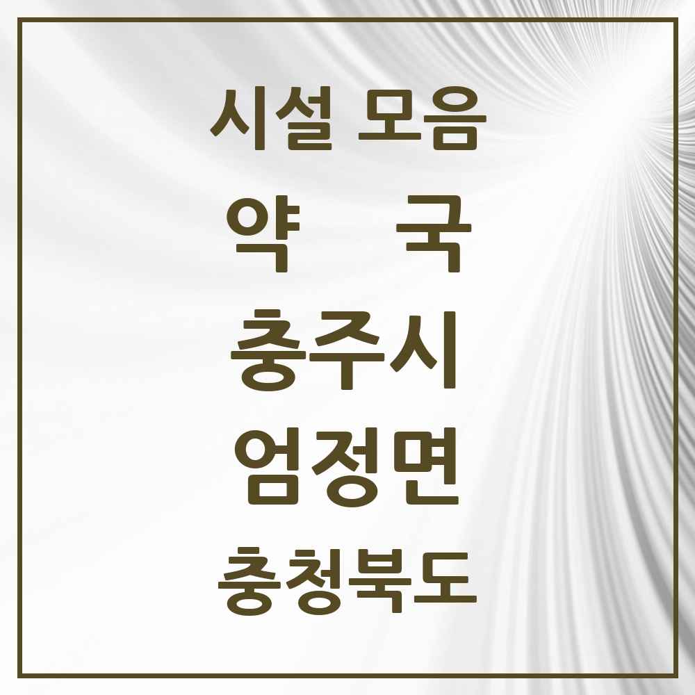 2025 충청북도 충주시 엄정면 약국 목록 1곳