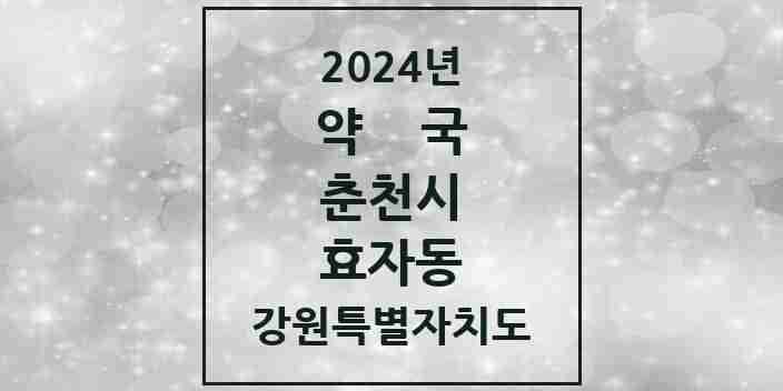 2024 효자동 약국 모음 14곳 | 강원특별자치도 춘천시 추천 리스트