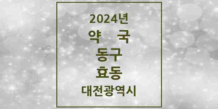 2024 효동 약국 모음 5곳 | 대전광역시 동구 추천 리스트