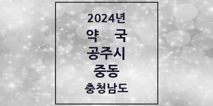 2024 중동 약국 모음 5곳 | 충청남도 공주시 추천 리스트