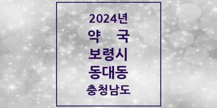 2024 동대동 약국 모음 9곳 | 충청남도 보령시 추천 리스트