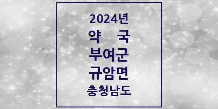 2024 규암면 약국 모음 1곳 | 충청남도 부여군 추천 리스트