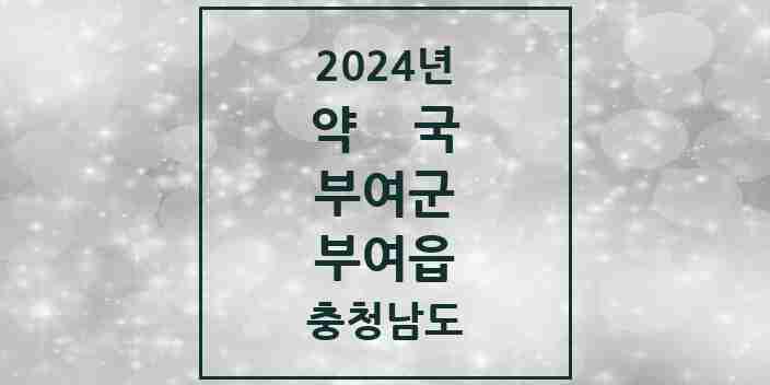 2024 부여읍 약국 모음 23곳 | 충청남도 부여군 추천 리스트