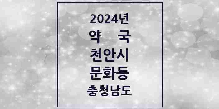 2024 문화동 약국 모음 3곳 | 충청남도 천안시 추천 리스트