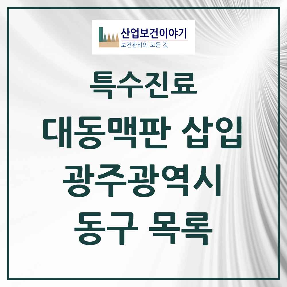 2025 광주광역시 동구 경피적 대동맥판삽입 TAVI 실시기관 의원·병원 목록 1곳
